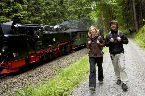 Ein Mann und eine Frau wandern auf dem Kammweg im Erzgebirge. Neben ihnen fährt die Fichtelbergbahn.